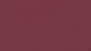 Vino